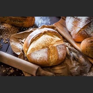 Shop bakery bánh mì vùng Wyndham Vale cần cô bán hàng 