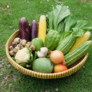Farm vùng Bacchus Marsh cần một nam biết lái xe, chịu khó